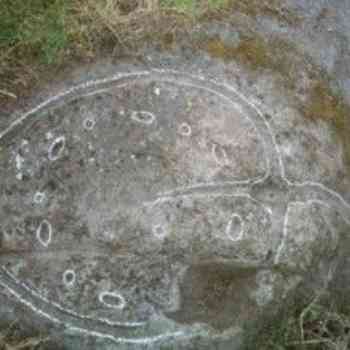 Click para ampliar. Pulsa en el nombre para ver la ficha. Castro San Lourenzo
Coruxo (Vigo) 1