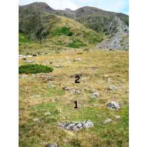Click para ampliar. Pulsa en el nombre para ver la ficha. 6 nuevos cromlechs en Guarrinza (HUESCA)