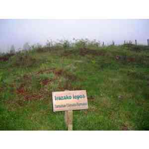 Click para ampliar. Pulsa en el nombre para ver la ficha. túmulo de Irazako lepoa (NAVARRA)