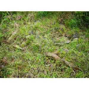 Click para ampliar. Pulsa en el nombre para ver la ficha. dolmen de Matxeta (en peligro de desaparición)