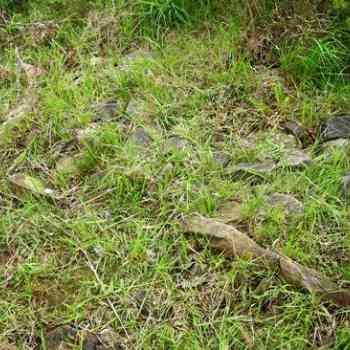 Click para ampliar. Pulsa en el nombre para ver la ficha. dolmen de Matxeta (en peligro de desaparición)