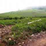 Click para ampliar. otro dolmen navarro en peligro de destrucción