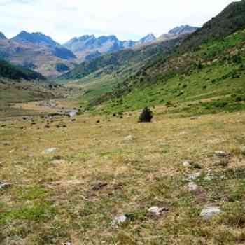 Click para ampliar. Pulsa en el nombre para ver la ficha. nuevos cromlechs en Guarrinza 2