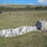 Nuevo menhir en Andía (NAVARRA)