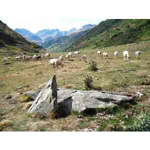 Click para ampliar. Pulsa en el nombre para ver la ficha. menhir de Mallo Blanco (HUESCA)