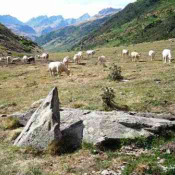 Click para ampliar. Pulsa en el nombre para ver la ficha. menhir de Mallo Blanco (HUESCA)