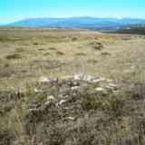 Click para ampliar. posible nuevo campo tumular en Palencia