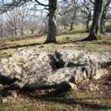 Click para ampliar. menhir de Lekuona (ARABA)