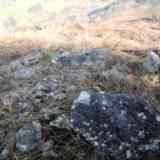 dolmen  de  akelarre  (ETXALAR)