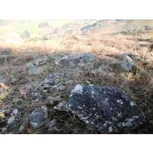 Click para ampliar. Pulsa en el nombre para ver la ficha. dolmen  de  akelarre  (ETXALAR)