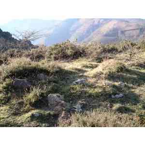 Click para ampliar. Pulsa en el nombre para ver la ficha. dolmen de Okalarre (ETXALAR)