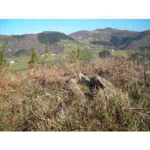 Click para ampliar. Pulsa en el nombre para ver la ficha. dolmen de Akelarre Bizkarra (NAVARRA)