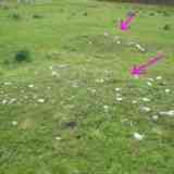 Click para ampliar. nuevo campo tumular en Cantabria