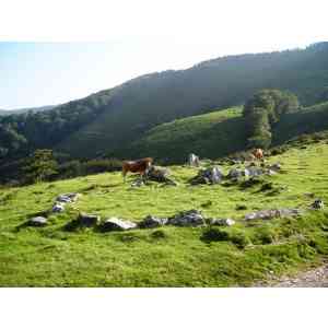Click para ampliar. Pulsa en el nombre para ver la ficha. cromlechs de Errekaleku (NAVARRA)