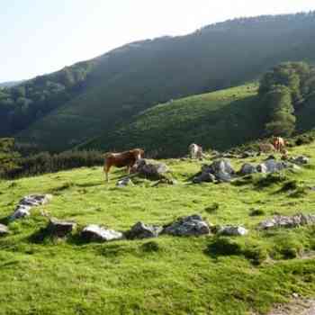 Click para ampliar. Pulsa en el nombre para ver la ficha. cromlechs de Errekaleku (NAVARRA)