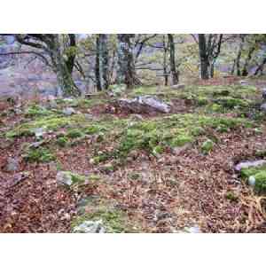 Click para ampliar. Pulsa en el nombre para ver la ficha. dolmen de Olarko Harri (NAVARRA)