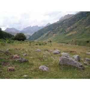 Click para ampliar. Pulsa en el nombre para ver la ficha. cromlech Barranco Campanil 3 (HUESCA)