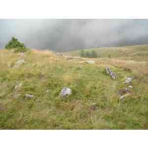 Click para ampliar. Pulsa en el nombre para ver la ficha. nuevo cromlech en Guarrinza