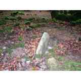 Click para ampliar. Pulsa en el nombre para ver la ficha. dolmen de Errandonea hego (NAVARRA)