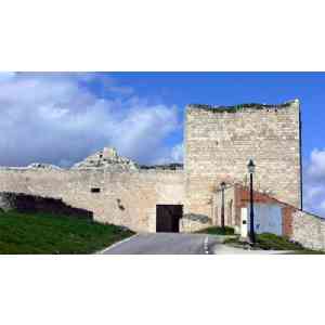 Click para ampliar. Pulsa en el nombre para ver la ficha. HAZA.CASTILLO