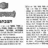 Click para ampliar. Anillo ibérico, Celestino Pujol, Transliteración hebrea.