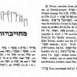 Click para ampliar. Lápida de Clunia, Peñalba de Castro,
Transliteración hebrea y Schökel