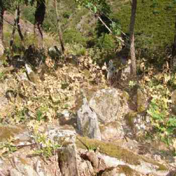  Pedras fincadas; C. Muradellas