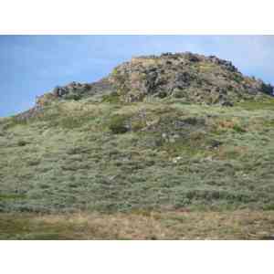 Click para ampliar. Pulsa en el nombre para ver la ficha. Castelo de Formigoso