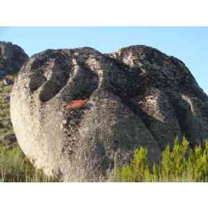 Click para ampliar. Pulsa en el nombre para ver la ficha. Castelo de formigoso