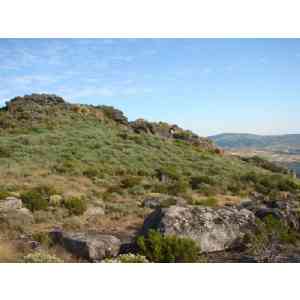 Click para ampliar. Pulsa en el nombre para ver la ficha. Castelo de Formigoso.