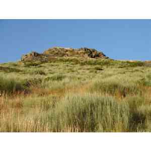 Click para ampliar. Pulsa en el nombre para ver la ficha. Castelo de Formigoso