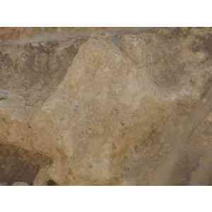 Click para ampliar. Pulsa en el nombre para ver la ficha. IMAGEN AGREDIDAD II CATEDRAL DE LEON