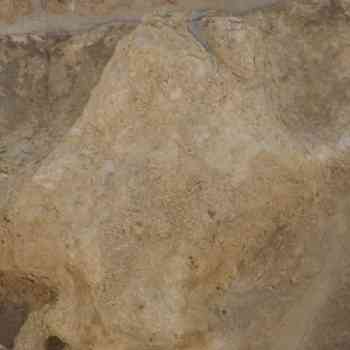 Click para ampliar. Pulsa en el nombre para ver la ficha. IMAGEN AGREDIDAD II CATEDRAL DE LEON