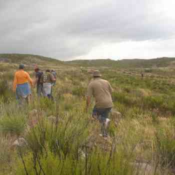 Click para ampliar. Pulsa en el nombre para ver la ficha. Caja de la calzada en la raia