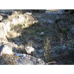 Click para ampliar. Pulsa en el nombre para ver la ficha. CIVIDADE ANCORA