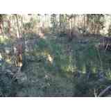 Click para ampliar. Pulsa en el nombre para ver la ficha. CIVIDADE ANCORA