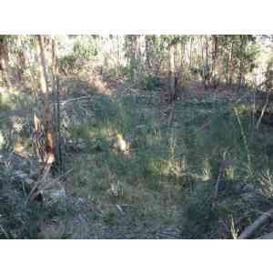 Click para ampliar. Pulsa en el nombre para ver la ficha. CIVIDADE ANCORA