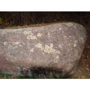 Click para ampliar. Pulsa en el nombre para ver la ficha. Pedra Remeseiro