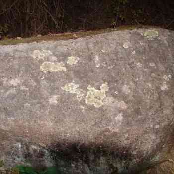 Click para ampliar. Pulsa en el nombre para ver la ficha. Pedra Remeseiro