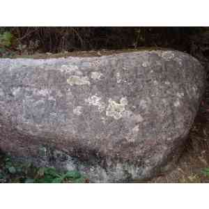 Click para ampliar. Pulsa en el nombre para ver la ficha. Pedra Remeseiro