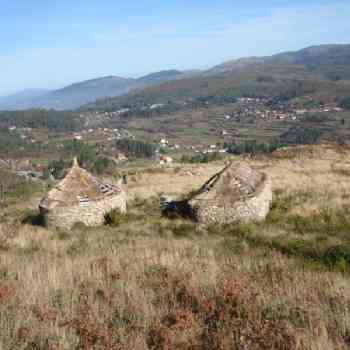 Click para ampliar. Pulsa en el nombre para ver la ficha. cossourado