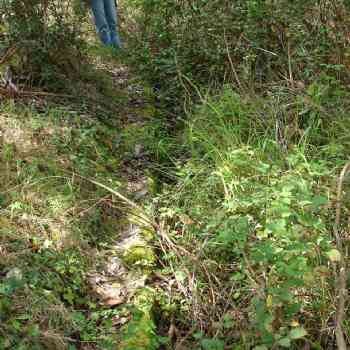 Click para ampliar. Pulsa en el nombre para ver la ficha. Castro Lnhoso