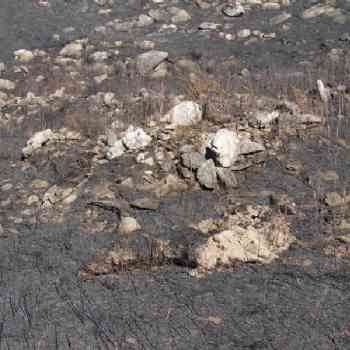Click para ampliar. Pulsa en el nombre para ver la ficha. Detalle, ruinas