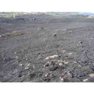 Click para ampliar. Pulsa en el nombre para ver la ficha. Detalle, ruinas