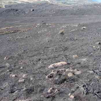 Click para ampliar. Pulsa en el nombre para ver la ficha. Detalle, ruinas