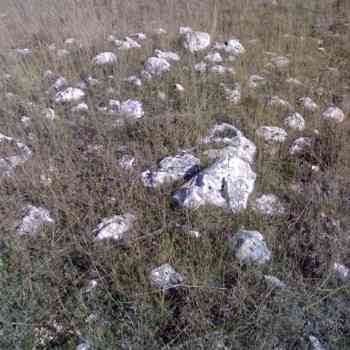 Click para ampliar. Pulsa en el nombre para ver la ficha.