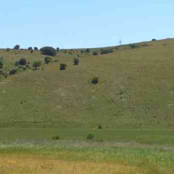 Click para ampliar. Pulsa en el nombre para ver la ficha. posible campo tumular