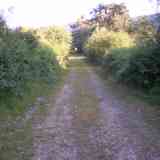 Click para ampliar. Camino ¿calzada? en Pelendonia 03