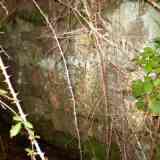 Click para ampliar. Camino ¿calzada? en Pelendonia 10