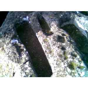 Click para ampliar. Pulsa en el nombre para ver la ficha. necropolis de gualda